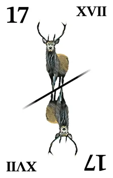 Tarok XVII