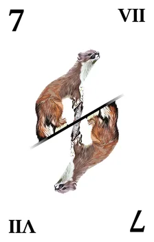 Tarok VII